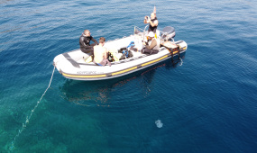 Divemaster