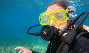 Scuba Diver