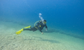 Open Water Diver