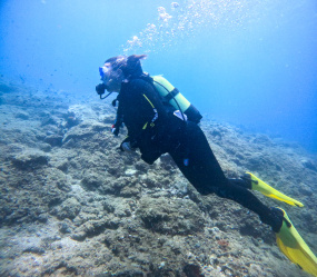 Lesvos Diving Center
