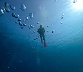Lesvos Diving Center