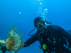 Lesvos Diving Center