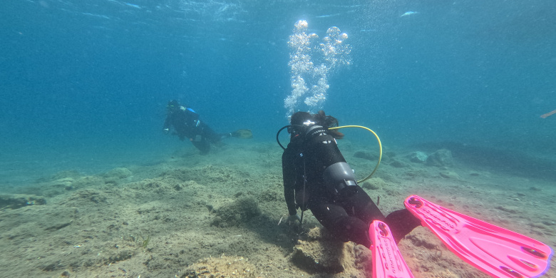 Scuba Diver