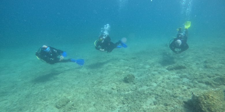 Scuba Diver
