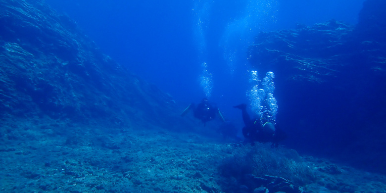 Open Water Diver